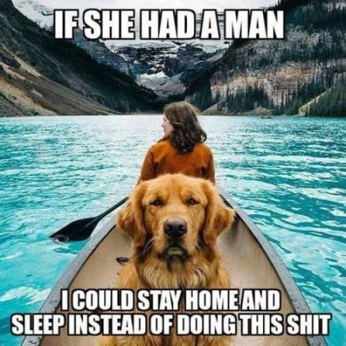 sunday-memes-dog-meme-about-wishing-his-owner-had-a-man-so-he-wouldnt-need-to-unnecessary-activities