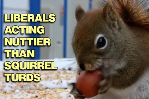 TESTHUB_photos_users_KPBY8Tc46ldqLjWXf6bqxqOW3AR2_-Oiy6X2TiWUhgHv5vzqF_img_rsz__1100x1100