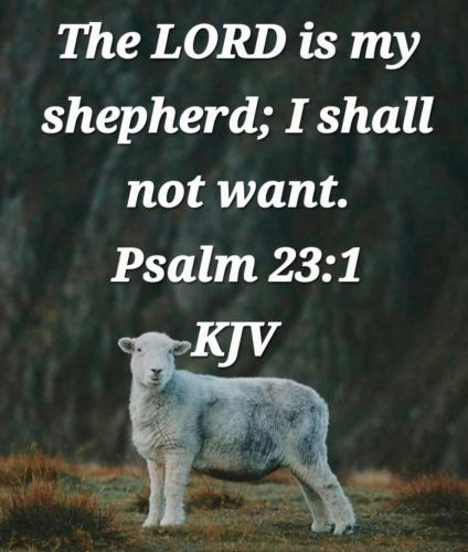 bfbbfaed-cfd5-45ef-9dde-44de501427a0