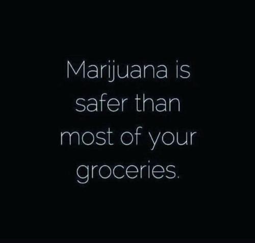 FB_IMG_1767515378069