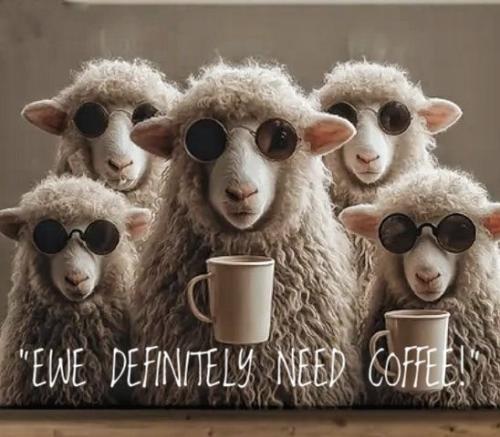 613686356_816591371408229_2245014084898370727_n