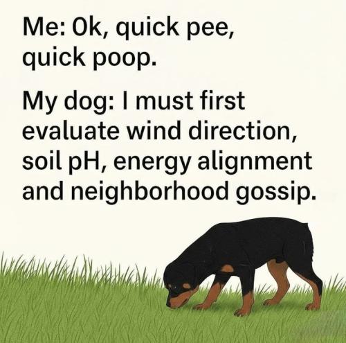 e51f25a3c6cfd0dc8bf6569406133810