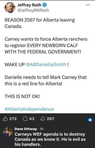 FB_IMG_1768122548866