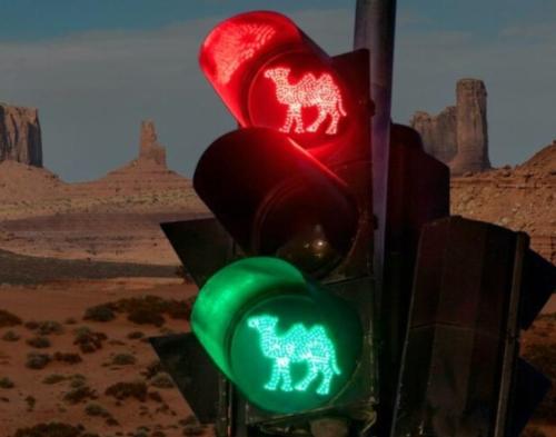 d21101ed-2af5-4093-9343-ccbb639f7fbc