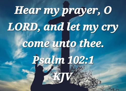 f0221a52-22d6-4e41-ab22-1ec5bbf604e9