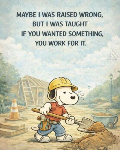 main-qimg-2faccf36b71753a99c9fff7e5225913e