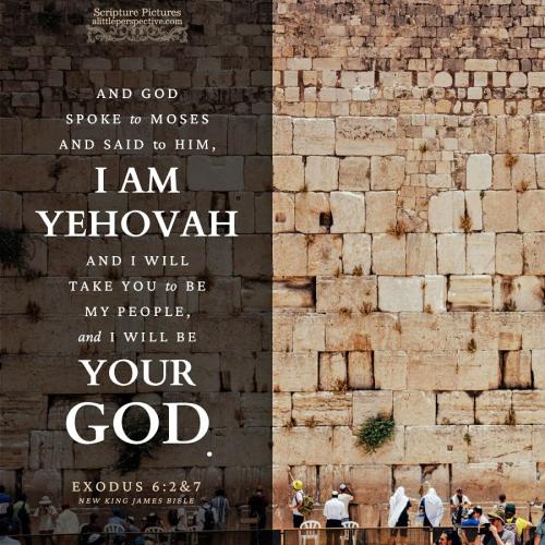 exo-6-2-NKJV-unsplash