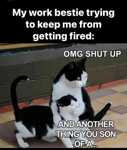 1b79d44cae3bd6156652da5fc16f121d