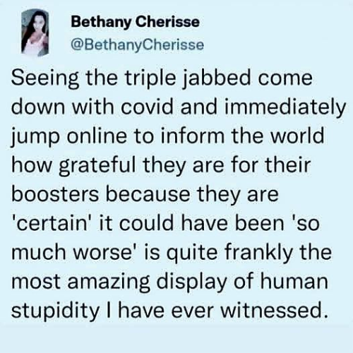 image_2ADC79D5-F046-4CA4-A6D0-EC2275F8800F