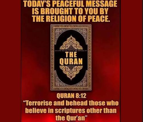 IMG_20260123_214804_604