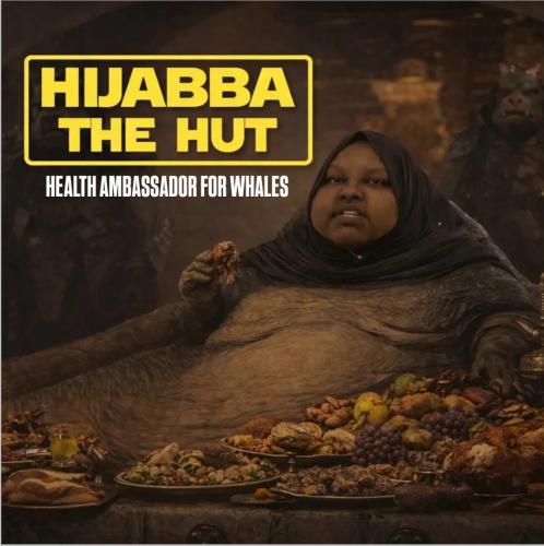 676e6f64cf9ff944aaac090240d3d798