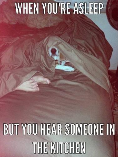 7e1a77b04067d794aca00ff32f05aac1