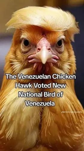 17676959063906036215782392368077_50461947761634