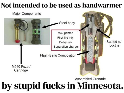 Minnesota Darwin Award.768px