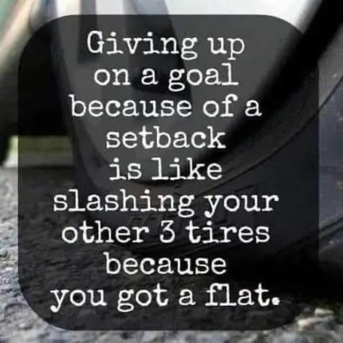 17661420436117612000651441555536_3242621382251