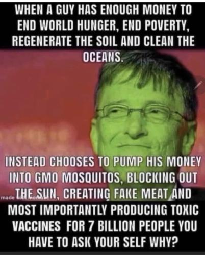FUCK'N BILL GATES