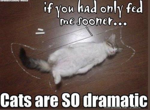 69bda3a43b503c785499e576a0e38399