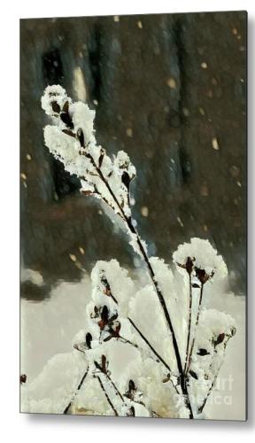 Screenshot_20260124_142408_Brave