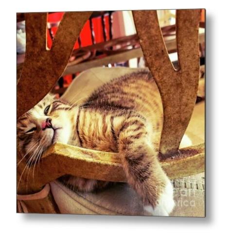 Screenshot_20260102_105152_Brave