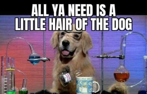 Screenshot_20260101_073518_Gallery