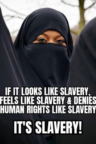 IMG_20260128_155606_306