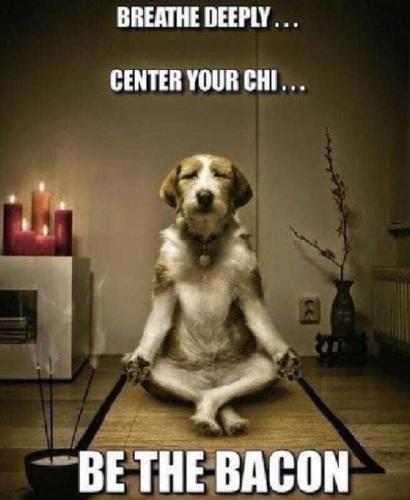 ldQfNRWYaI9NpLN7ohl5_09_78c964871ff983a555d5043e81c84288_image