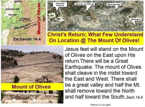 1FA6E718-0B47-4867-9A5A-BD786FA0DC05