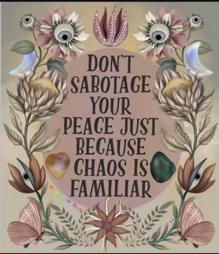 615946122_4207009206219622_5688528587186661780_n