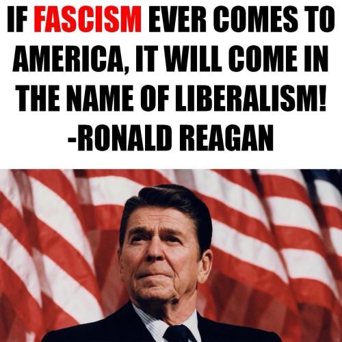 A3C8638E-D161-4529-BD2B-FF9CF72DDEAD