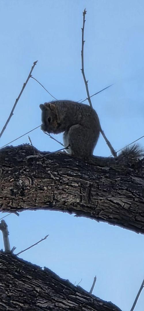 6e05962c-59ba-4c6b-956e-5c5529d66a61