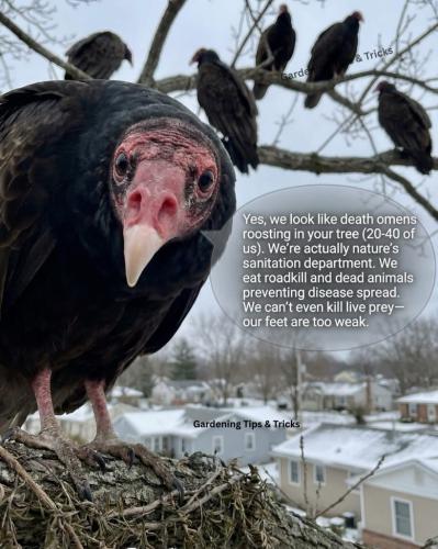 27E61E7C-02B1-4D95-BAD6-988735CC2968