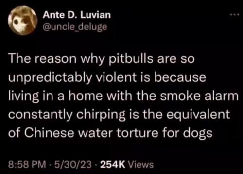 IMG_20260111_164034_067