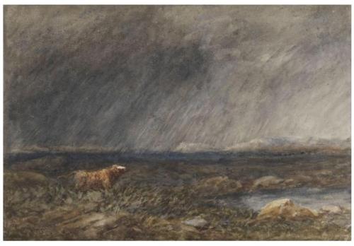 437cbf7f-43b8-4ac0-a53b-56fe21f9d359