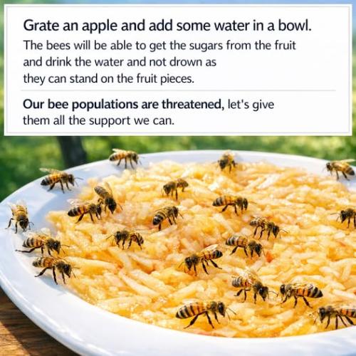 bees
