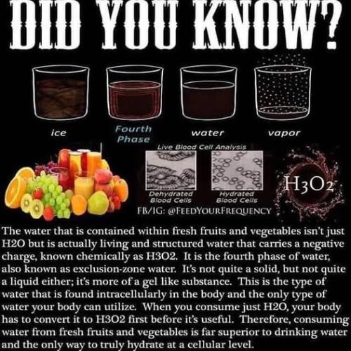 ,     ,       273410949_71196934381