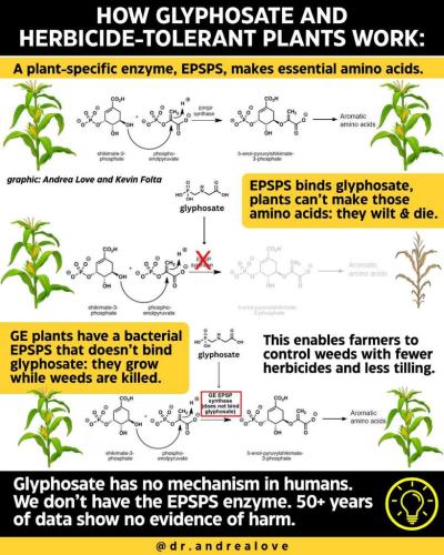 9352653c-0050-4b72-9e0f-930654e87c6d