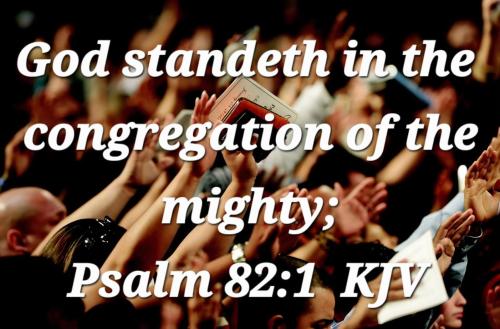 58d55838-954c-4e4c-809a-12769c126c68