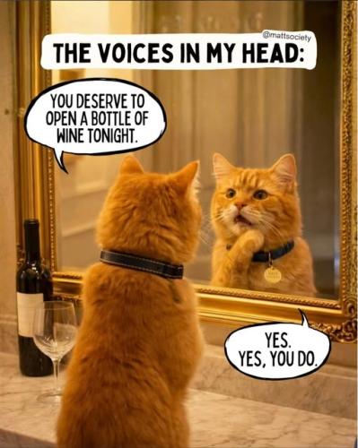 615713325_879883144626505_5110869212506060921_n