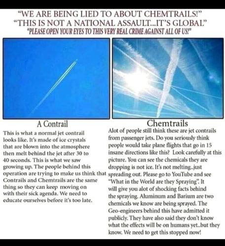 FB_IMG_1768574569774