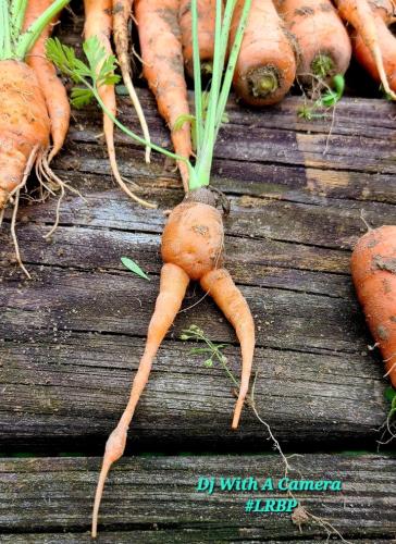 Screenshot_20260108_112810_Gallery