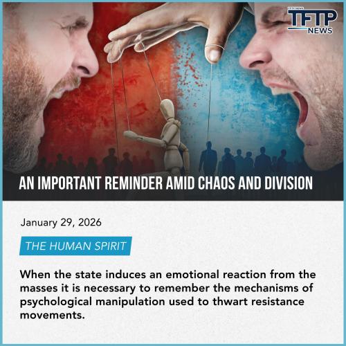 f333ffffff3f3f3f3ff3f3f3f3f3f3f3frefefefwasfsf