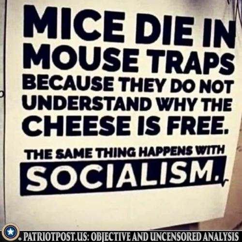 01KG2JG6AG4DNVXBMFQC8Q1FDH