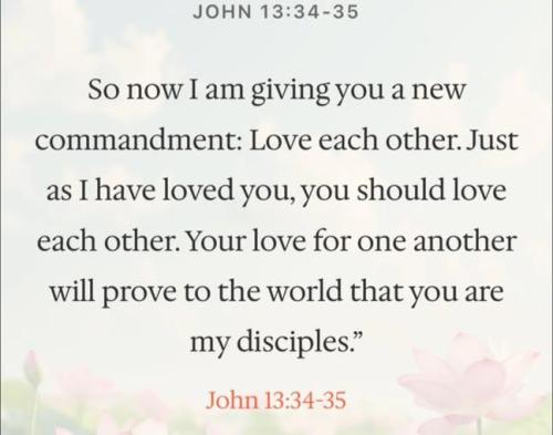 IMG_20260125_165216_563