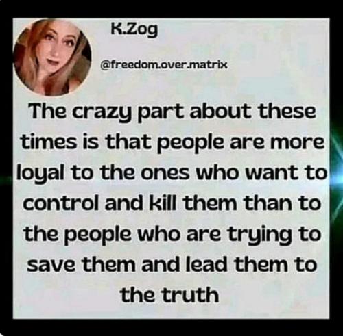 image_6E9E1B21-913A-4B5B-8A8F-AB73A9F0F9CB