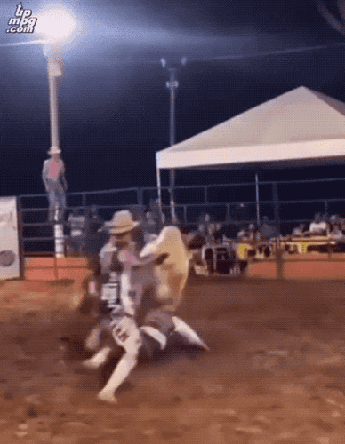 daily_gifdump_5079_24a