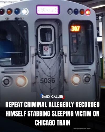 615193026_1253613723289867_2619744722081612500_n