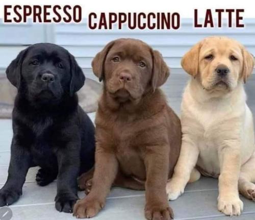 Screenshot_20260102_081813_Gallery