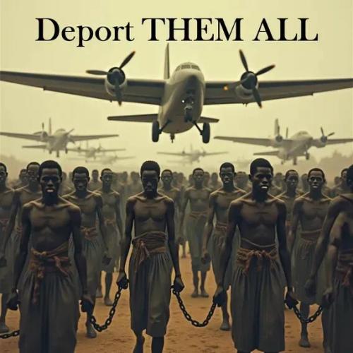 dbcc369803a995ea0f6d42223fad7135