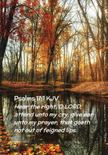 Screenshot_20260130-150807-797