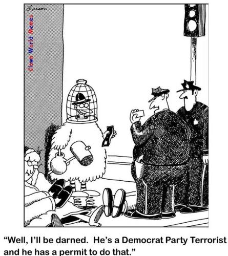 ca88d1dd-fe4d-4e2b-9855-5f230d798dfd